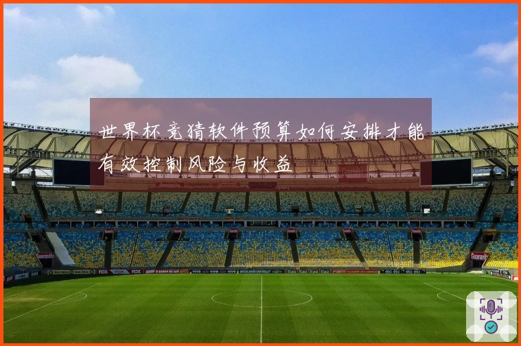 世界杯竞猜软件预算如何安排才能有效控制风险与收益