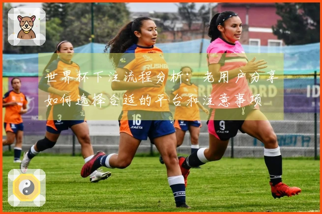 世界杯下注流程分析：老用户分享如何选择合适的平台和注意事项