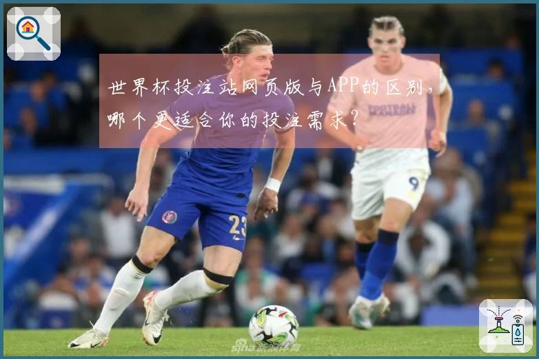 世界杯投注站网页版与APP的区别,哪个更适合你的投注需求?