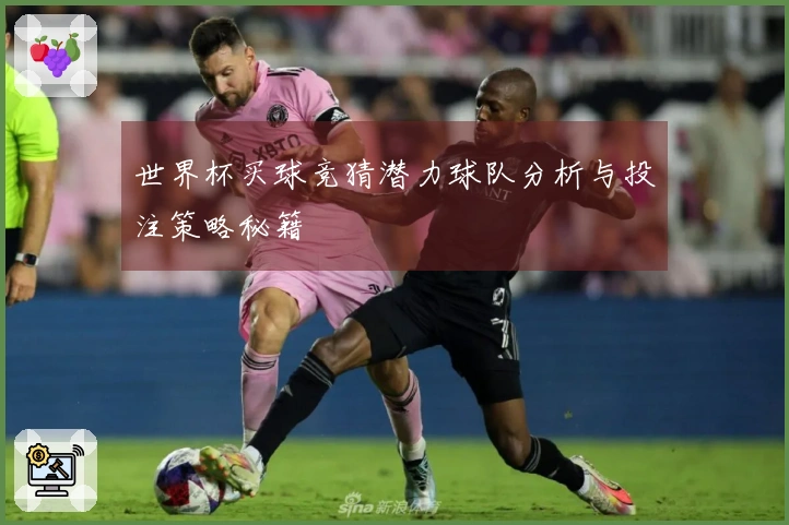 世界杯买球竞猜潜力球队分析与投注策略秘籍