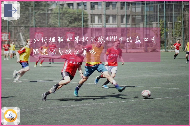 如何理解世界杯买球APP中的盘口升降变化与投注策略