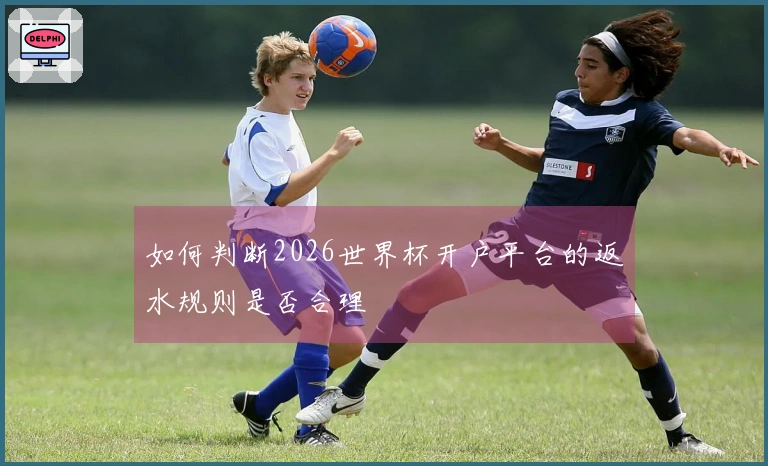 如何判断2026世界杯开户平台的返水规则是否合理