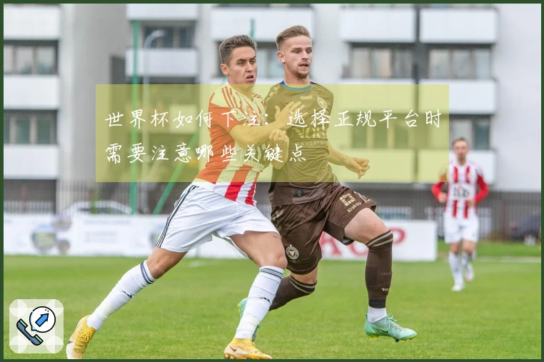 世界杯如何下注：选择正规平台时需要注意哪些关键点
