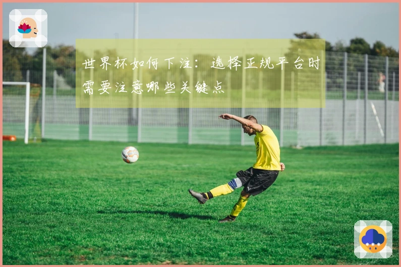 世界杯如何下注：选择正规平台时需要注意哪些关键点