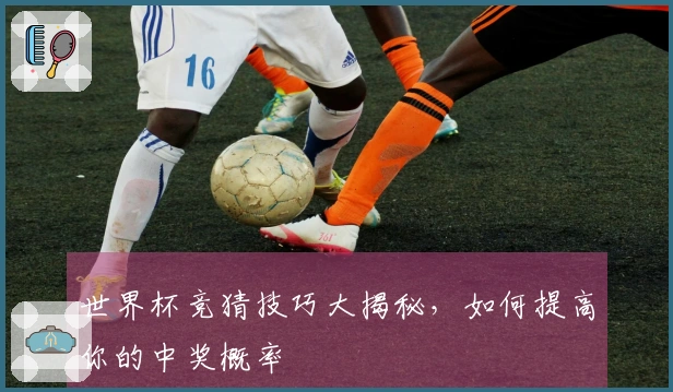 世界杯竞猜技巧大揭秘，如何提高你的中奖概率