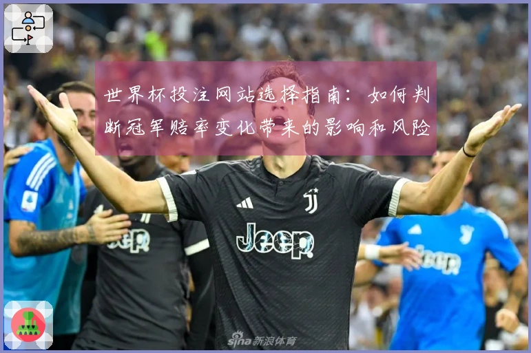 世界杯投注网站选择指南：如何判断冠军赔率变化带来的影响和风险