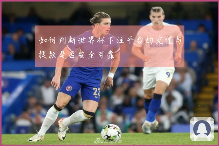 如何判断世界杯下注平台的充值与提款是否安全可靠