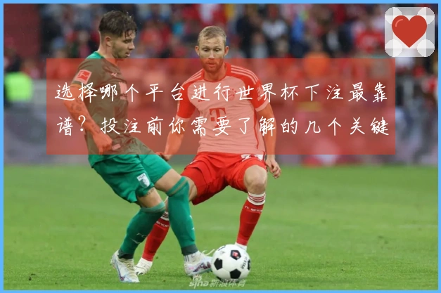 选择哪个平台进行世界杯下注最靠谱?投注前你需要了解的几个关键点