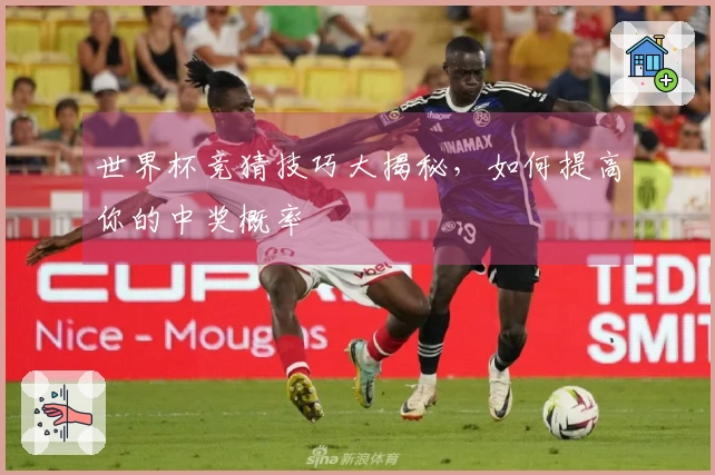世界杯竞猜技巧大揭秘，如何提高你的中奖概率