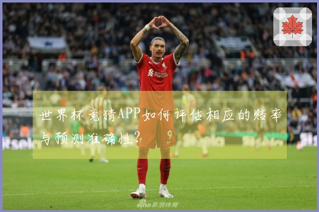 世界杯竞猜APP如何评估相应的赔率与预测准确性？