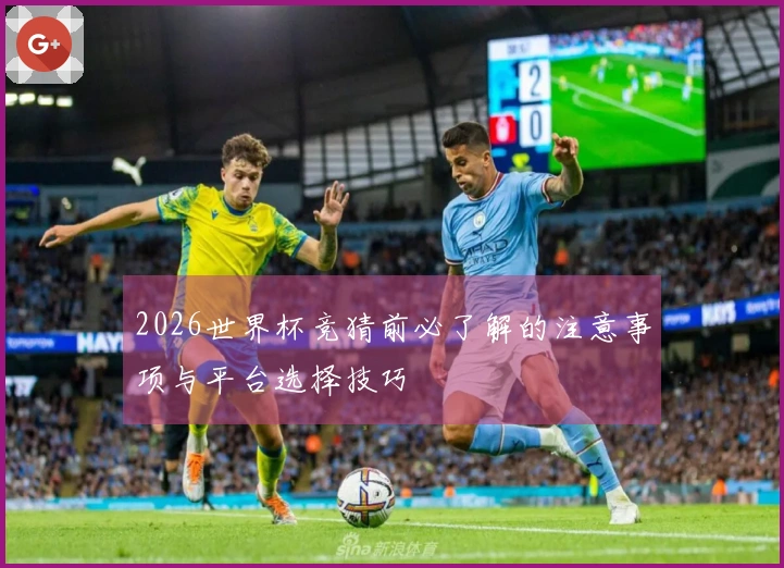 2026世界杯竞猜前必了解的注意事项与平台选择技巧