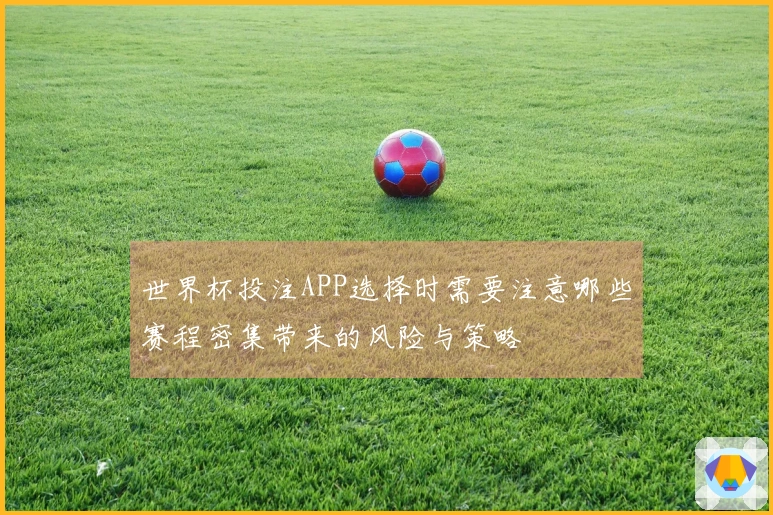 世界杯投注APP选择时需要注意哪些赛程密集带来的风险与策略