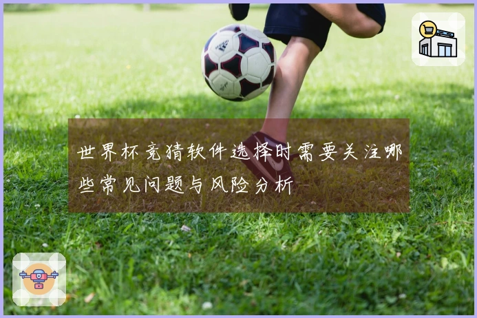 世界杯竞猜软件选择时需要关注哪些常见问题与风险分析