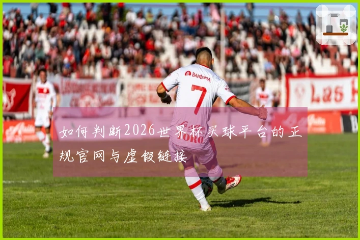 如何判断2026世界杯买球平台的正规官网与虚假链接