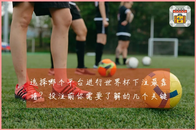 选择哪个平台进行世界杯下注最靠谱？投注前你需要了解的几个关键点
