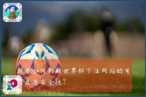 新手如何判断世界杯下注网站的可信度与安全性？
