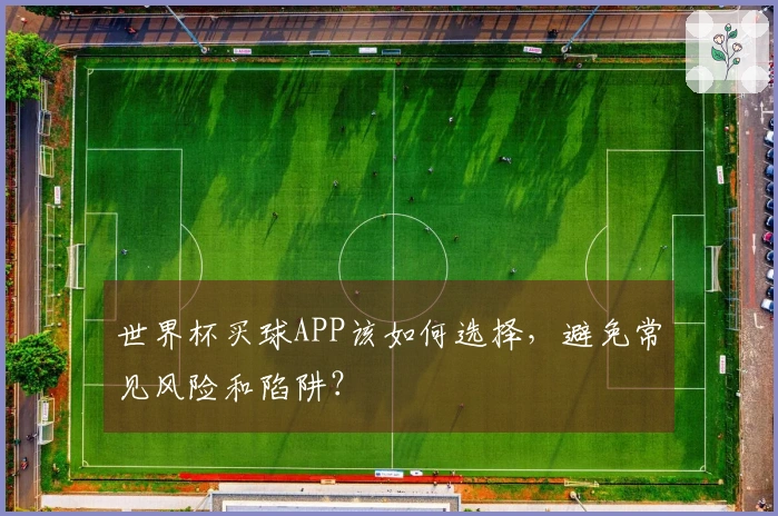 世界杯买球APP该如何选择，避免常见风险和陷阱？