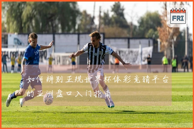 如何辨别正规世界杯体彩竞猜平台的亚洲盘口入门指南