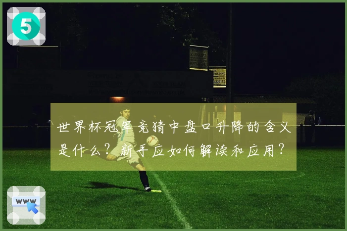 世界杯冠军竞猜中盘口升降的含义是什么？新手应如何解读和应用？
