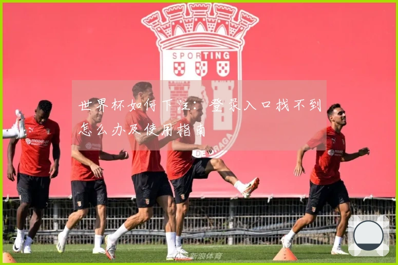 世界杯如何下注：登录入口找不到怎么办及使用指南