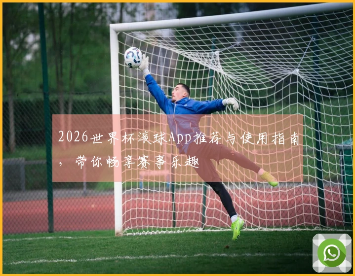 2026世界杯滚球App推荐与使用指南，带你畅享赛事乐趣