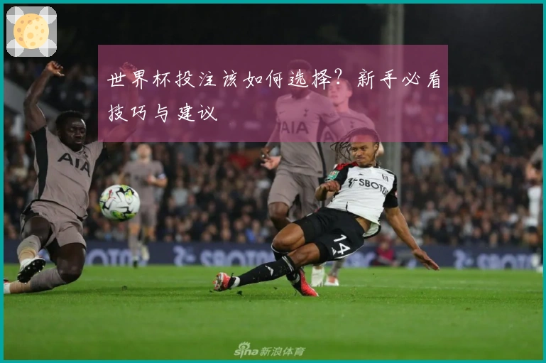 世界杯投注该如何选择？新手必看技巧与建议
