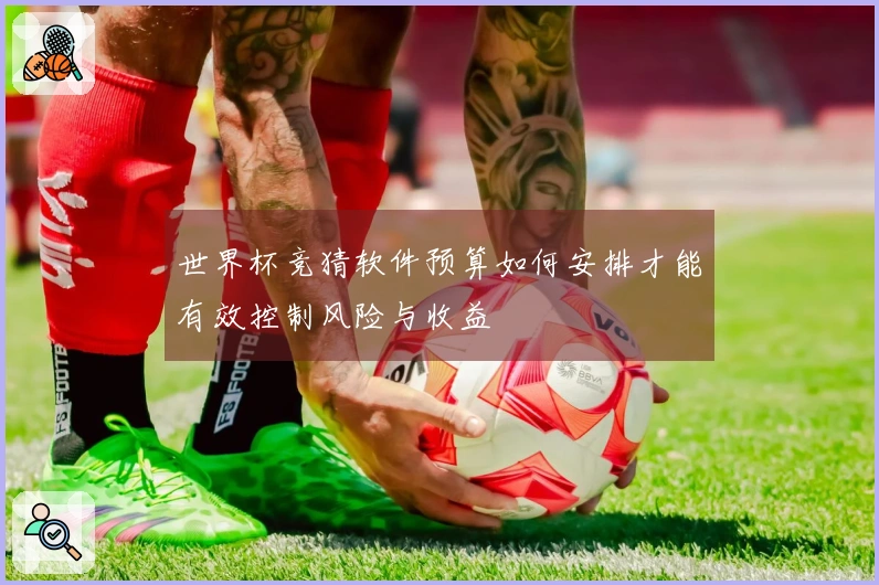 世界杯竞猜软件预算如何安排才能有效控制风险与收益