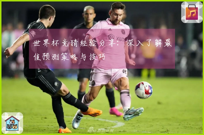 世界杯竞猜经验分享：深入了解最佳预测策略与技巧