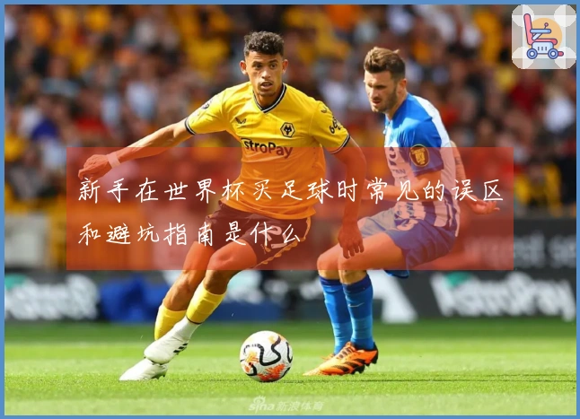 新手在世界杯买足球时常见的误区和避坑指南是什么