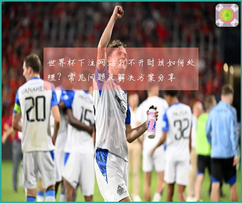 世界杯下注网站打不开时该如何处理？常见问题及解决方案分享