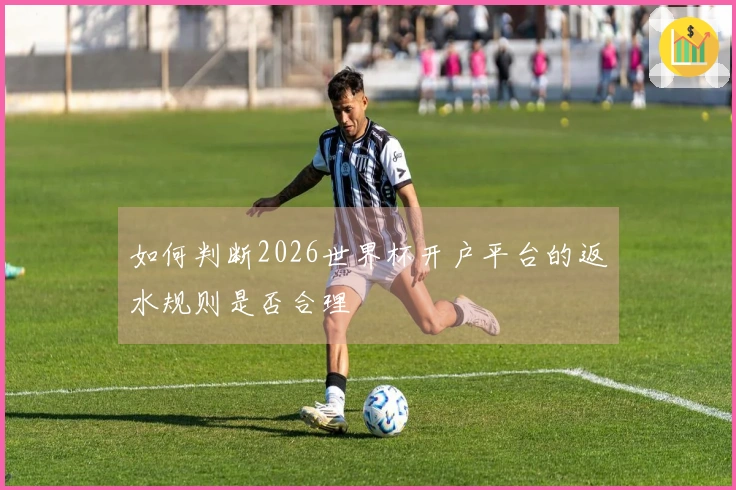 如何判断2026世界杯开户平台的返水规则是否合理