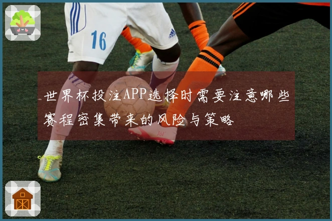 世界杯投注APP选择时需要注意哪些赛程密集带来的风险与策略