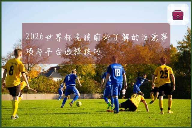 2026世界杯竞猜前必了解的注意事项与平台选择技巧