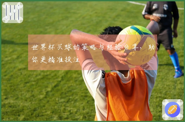 世界杯买球的策略与经验分享，助你更精准投注