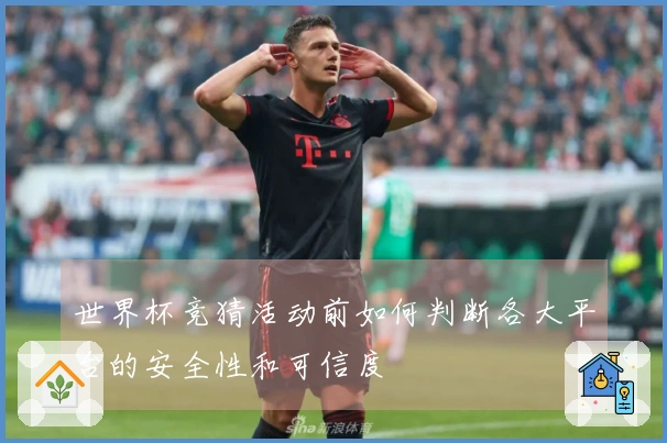 世界杯竞猜活动前如何判断各大平台的安全性和可信度