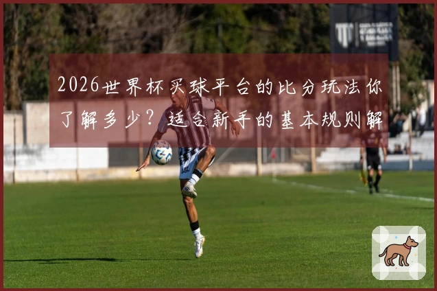2026世界杯买球平台的比分玩法你了解多少？适合新手的基本规则解析